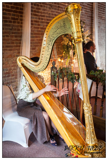 A harpist at Castle Cooling Barn in Kent - Wedding Photography
