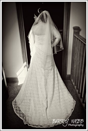 The Brides beautiful dress